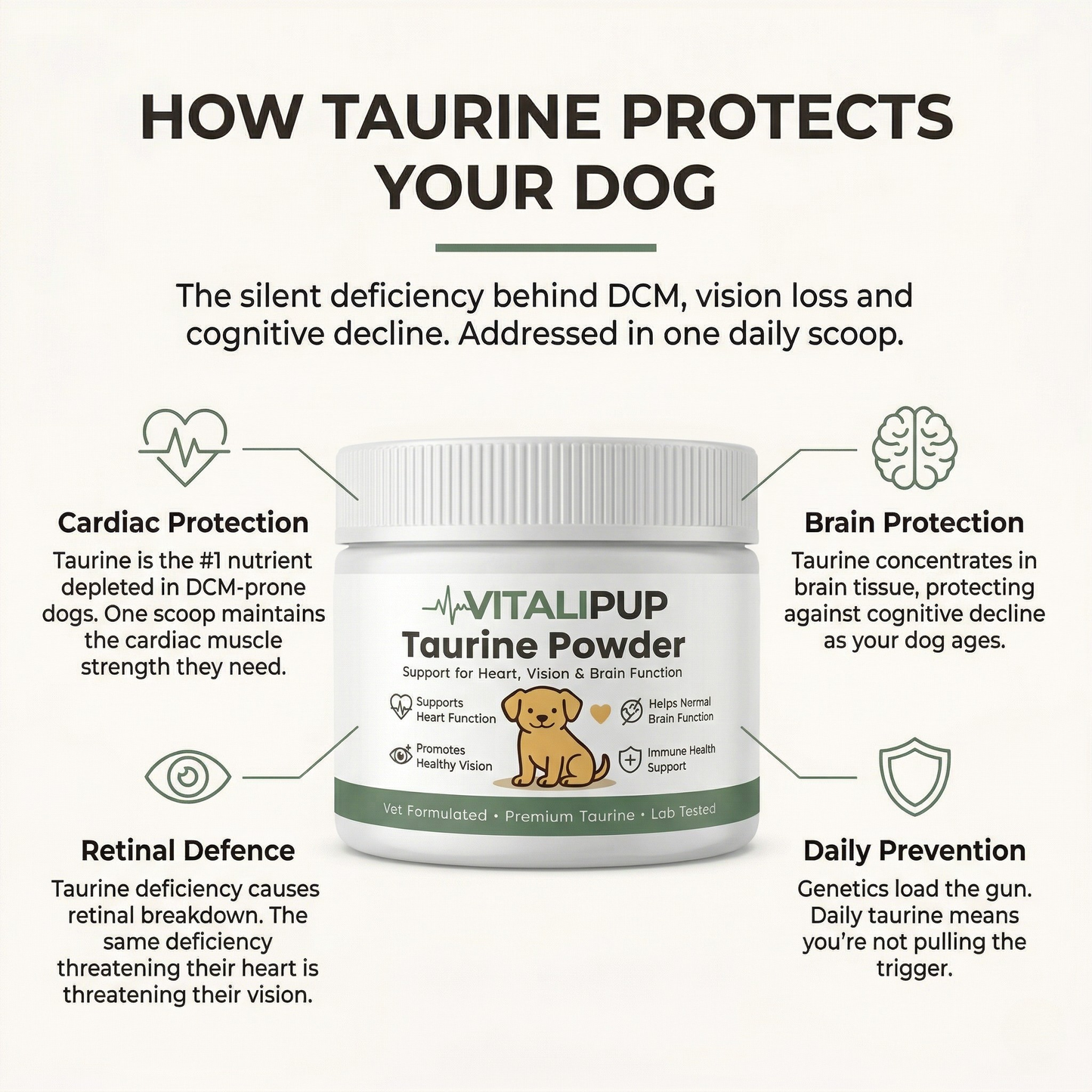 Stop The Silent Deficiency Before The Damage Is Done With Vitalipup Taurine Powder