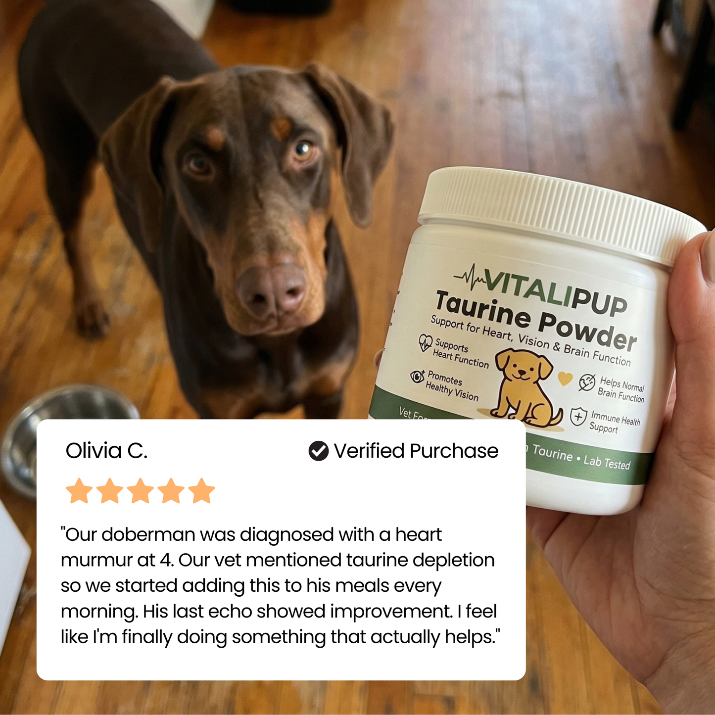 Stop The Silent Deficiency Before The Damage Is Done With Vitalipup Taurine Powder