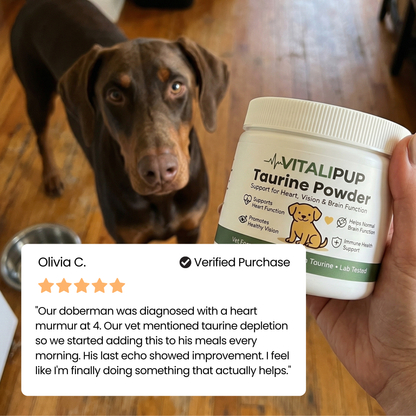 Stop The Silent Deficiency Before The Damage Is Done With Vitalipup Taurine Powder