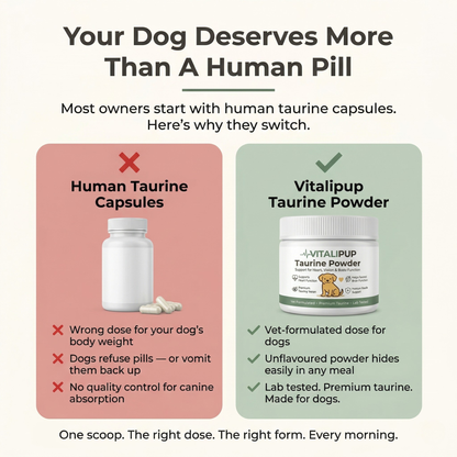 Stop The Silent Deficiency Before The Damage Is Done With Vitalipup Taurine Powder