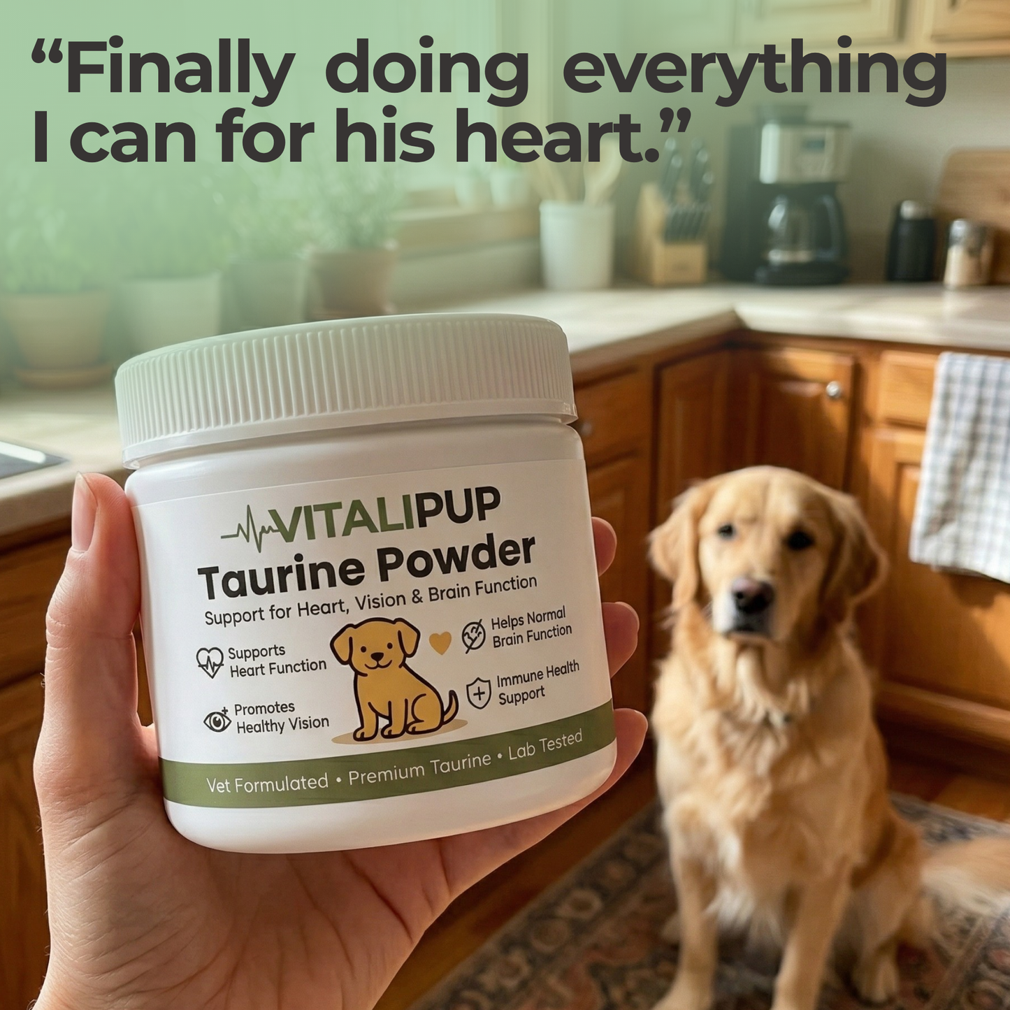 Stop The Silent Deficiency Before The Damage Is Done With Vitalipup Taurine Powder